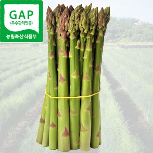 강원더몰,[라이브특가] 원주 치악산 아스파라거스 중 1kg