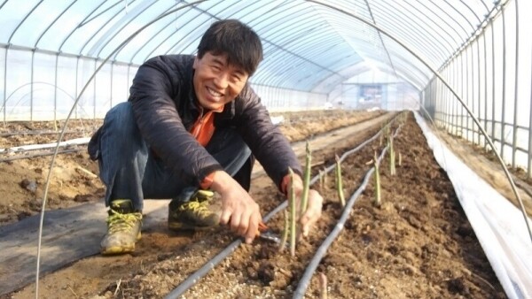 강원더몰,[라이브특가] 원주 치악산 아스파라거스 소 1kg